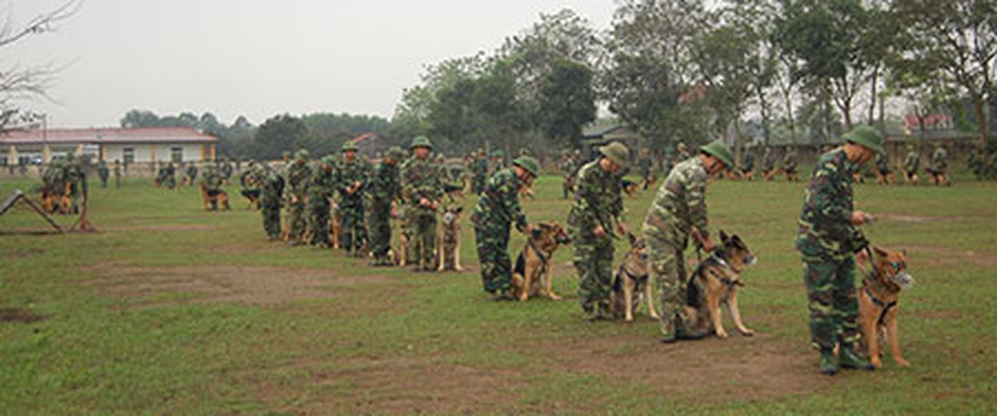 Trường Trung cấp 24 Biên phòng là trường duy nhất trong toàn quân đào tạo huấn luyện viên, sử dụng chó nghiệp vụ, làm nhiệm vụ sẵn sàng chiến đấu, trực tiếp chiến đấu, đấu tranh với các loại tội phạm, tìm kiếm cứu nạn, canh gác, bảo vệ mục tiêu chính trị, quân sự...